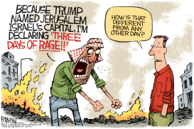 DAYS OF RAGE by Rick McKee