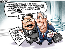 NRA LOBBY by Steve Sack