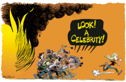 CELEBRITY FIRES AND THE MEDIA  by Daryl Cagle