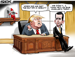 MUELLERONASHELF by Steve Sack