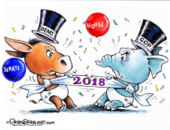 NEW YEAR CONGRESS SEATS 2018 by Dave Granlund