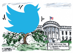 TOO MUCH TWEETING by Jeff Koterba