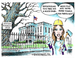 WHITE HOUSE TREE CUT by Dave Granlund