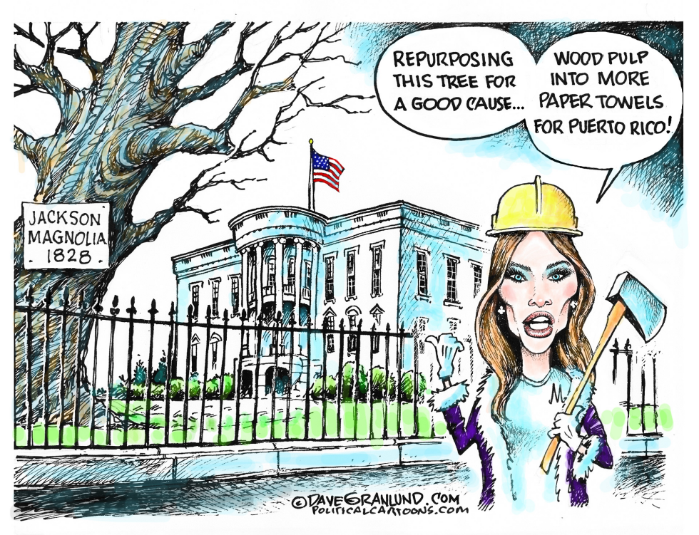  WHITE HOUSE TREE CUT by Dave Granlund