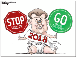 MATT GAETZ FLORIDA by Bill Day