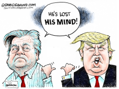 BANNON VS TRUMP by Dave Granlund