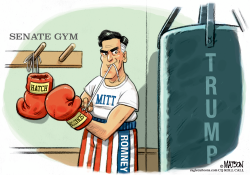 MITT ROMNEY CONSIDERS SENATE RUN by RJ Matson