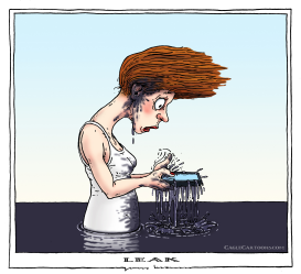 LEAK by Joep Bertrams