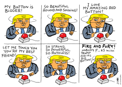 TRUMP'S BUTTON by Schot