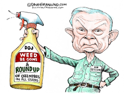 JEFF SESSIONS AND MARIJUANA by Dave Granlund