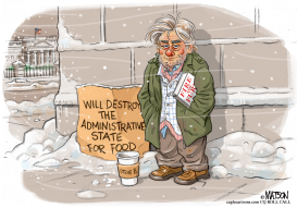 STEVE BANNON OUT IN THE COLD by RJ Matson