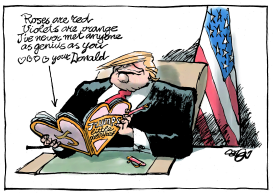 TRUMP IS GENIUS by Jos Collignon