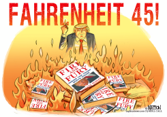 FAHRENHEIT 45 by RJ Matson