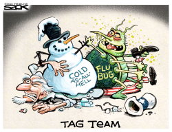 FLU/COLD by Steve Sack