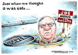 JOE ARPAIO SENATE BID by Dave Granlund