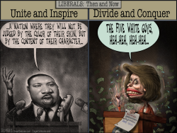 MLK PELOSI RACISM by Sean Delonas