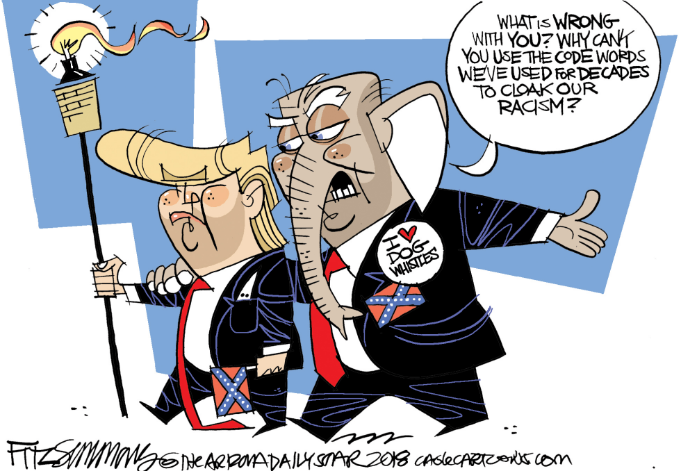  TRUMP AND RACE by David Fitzsimmons