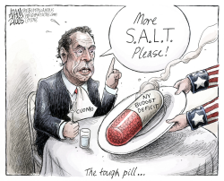 NY STATE BUDGET by Adam Zyglis