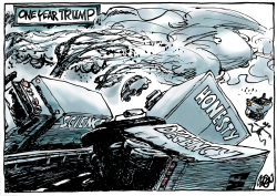 ONE YEAR TRUMP by Jos Collignon