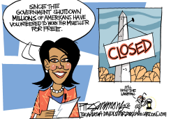 SHUTDOWN by David Fitzsimmons