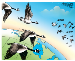 AVIAN FLU COMING TO CANADA by Patrick Corrigan