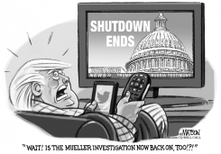 TRUMP WORRIES AS GOVERNMENT SHUTDOWN ENDS by RJ Matson