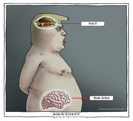 ANATOMY by Joep Bertrams