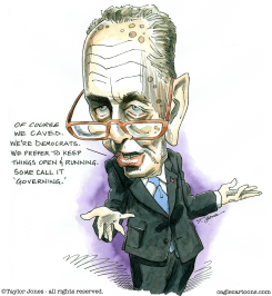 CHUCK SCHUMER by Taylor Jones