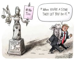 RULE OF LAW by Adam Zyglis