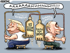 BACKSCRATCHING BUDDIES by Steve Sack