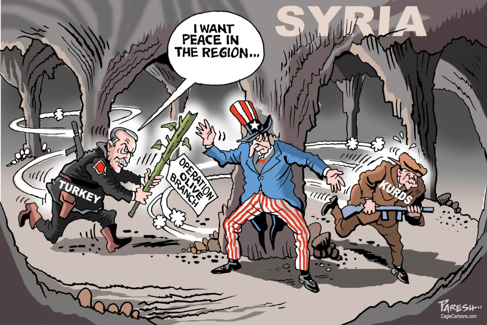  TRUKEY IN SYRIA by Paresh Nath