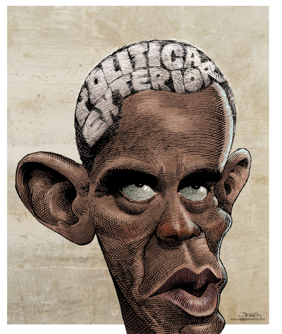  OBAMAS GRAY HAIR by Dario Castillejos