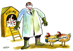 EUROPE'S POULTRY  by Christo Komarnitski