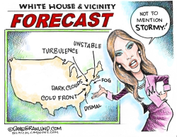 WHITE HOUSE WEATHER by Dave Granlund