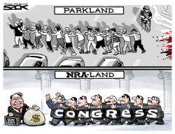 NRALAND by Steve Sack