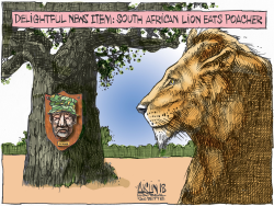 LIONS EAT SOUTH AFRICAN POACHER by Aislin