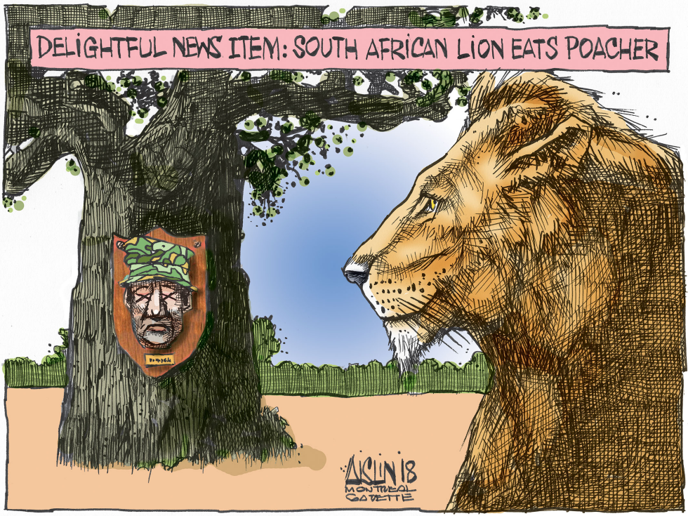  LIONS EAT SOUTH AFRICAN POACHER by Aislin