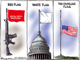 FLAGS FOR PARKLAND by Kevin Siers