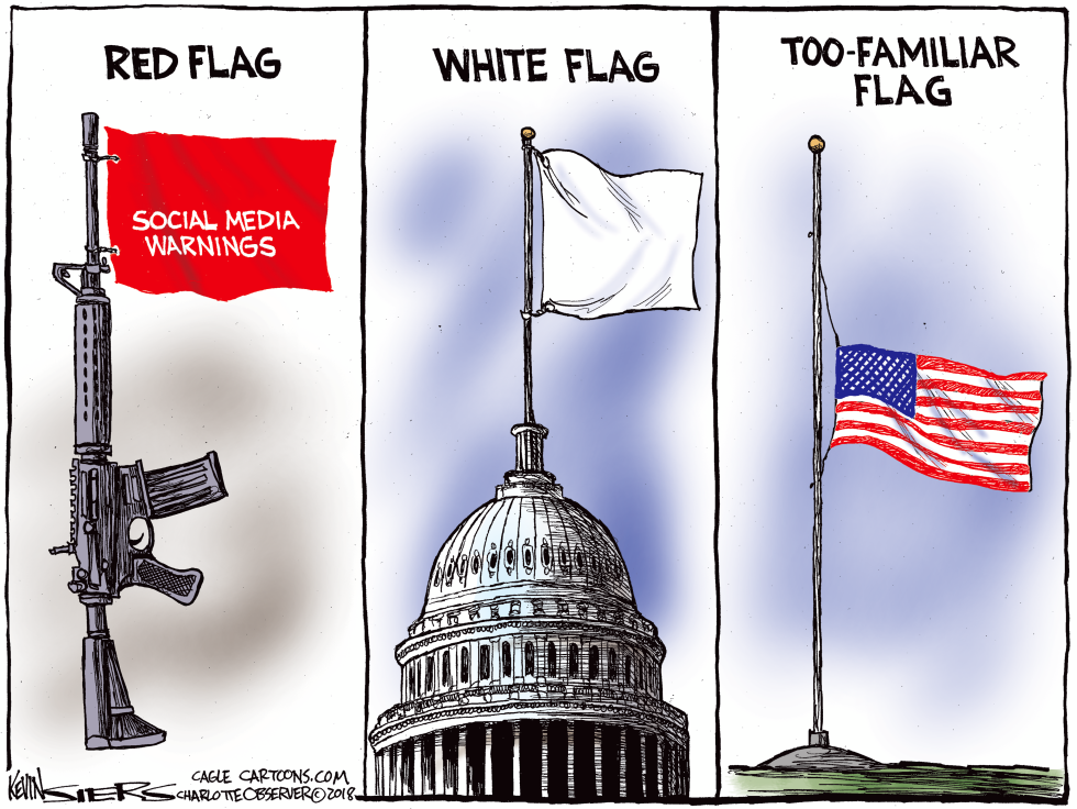  FLAGS FOR PARKLAND by Kevin Siers