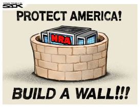 GUN WALL by Steve Sack