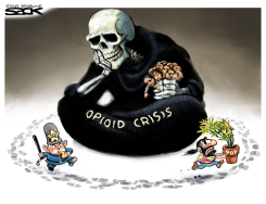 POT V OPIOIDS by Steve Sack