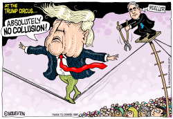 TRUMP ON THE TIGHTROPE by Wolverton