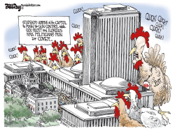 NRA CHICKENS by Bill Day