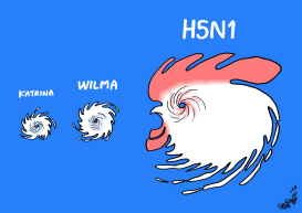 NEXT MONSTER HURRICANE by Stephane Peray