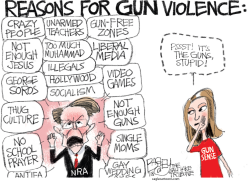 GUN SENSE by Pat Bagley