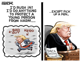 HERO TRUMP by Steve Sack