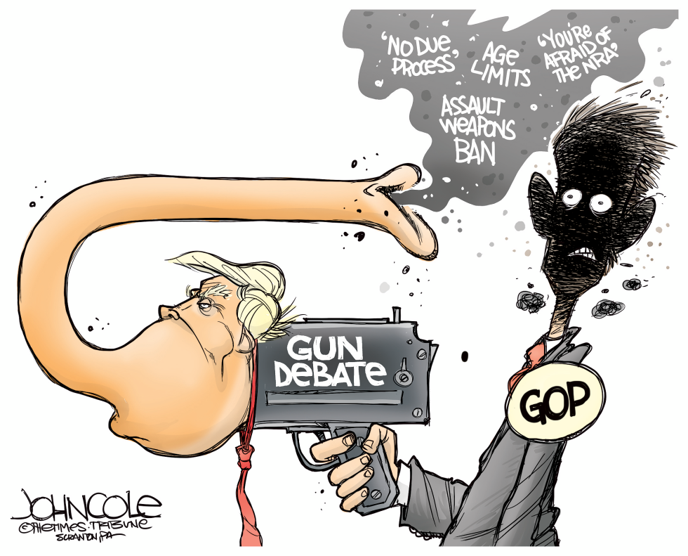  TRUMP GOP AND GUNS by John Cole