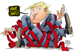 TRUMP CHAOS by Daryl Cagle