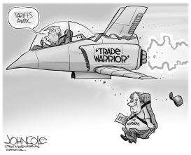 THE TRADE WARRIOR by John Cole