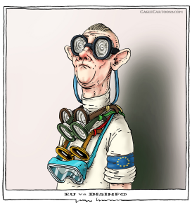 EUVSDISINFO by Joep Bertrams